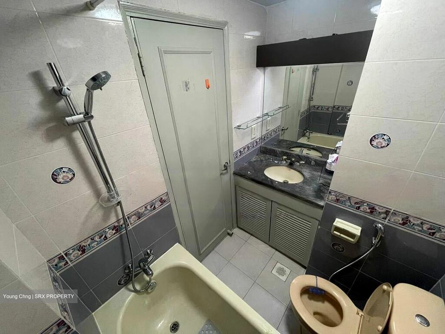 Emerald Park (D3), Condominium #509459331